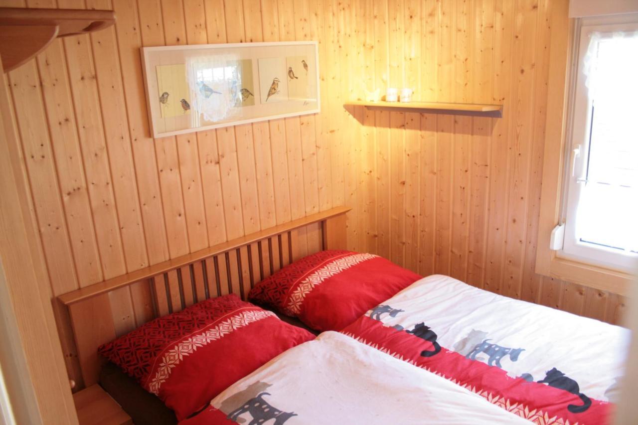 Ferienhaeuser Ohratalsperre Luisenthal Extérieur photo